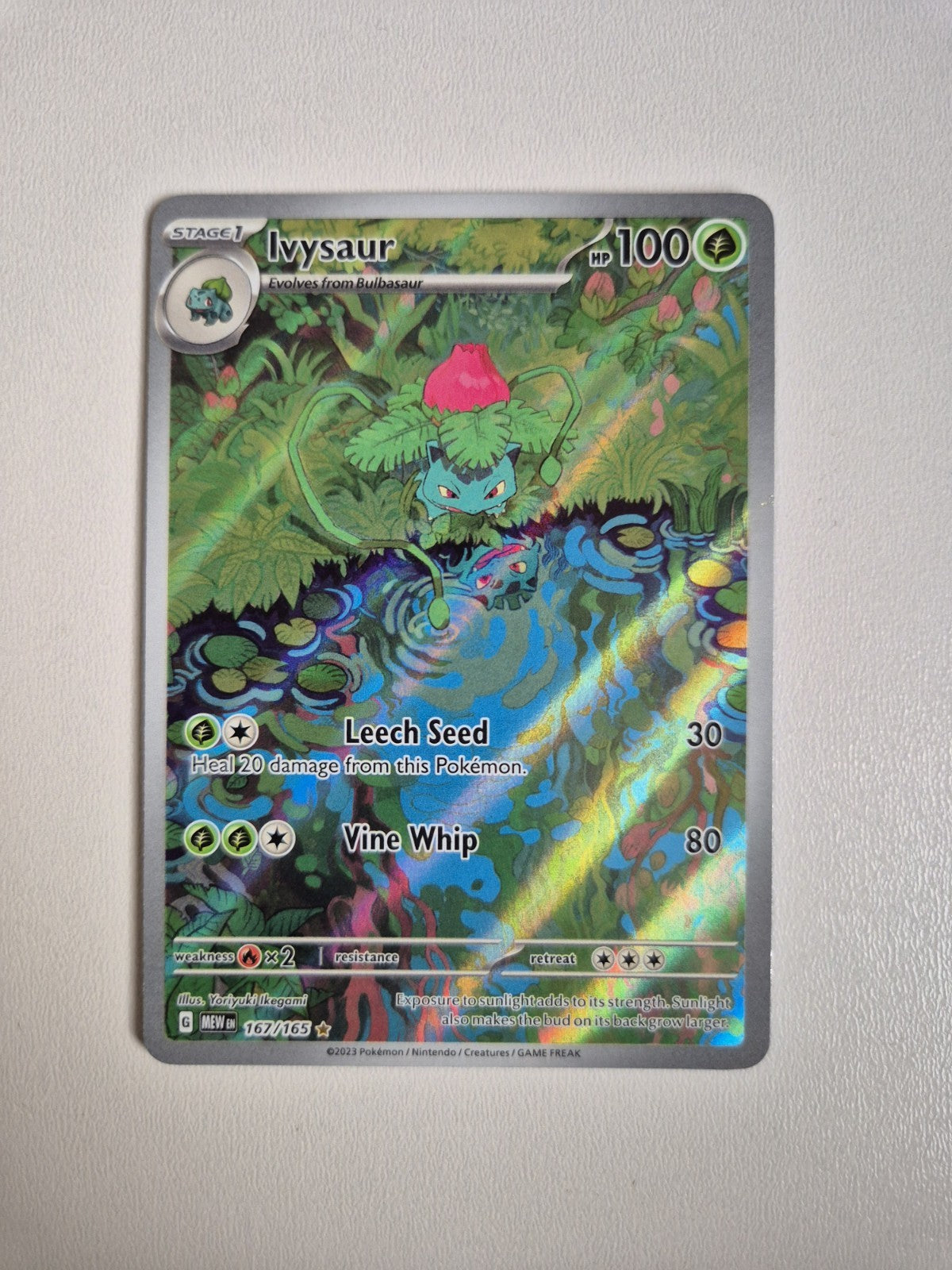 Ivysaur 167/165 English SV 151 Illustration Rare Holo Pokemon TCG Near Mint