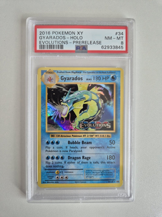 PSA 8 Gyarados 34/108 XY Evolutions Holo Pre Release Stamp Pokemon NM-MT
