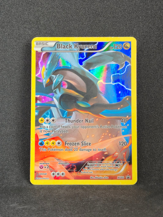 Black Kyurem XY Promo #80