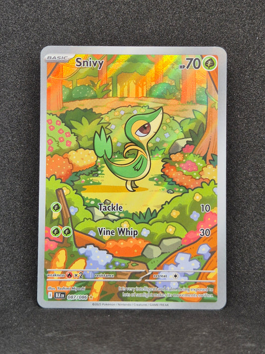 Snivy Black Bolt #087