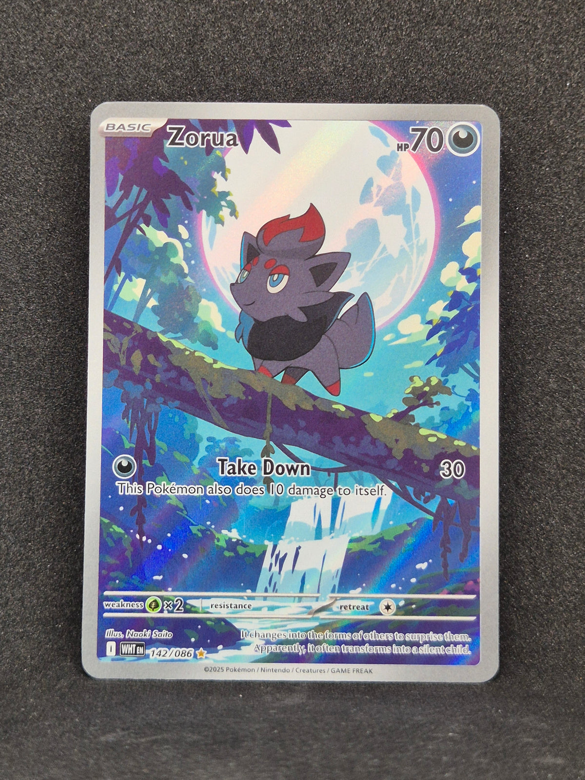 Zorua White Flare #142
